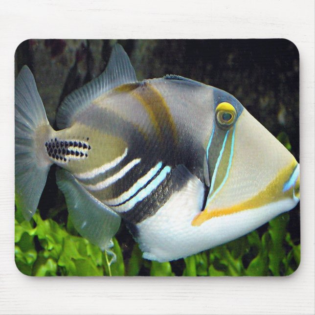 Tropical Fish Mousepad Musmatta (Framsidan)