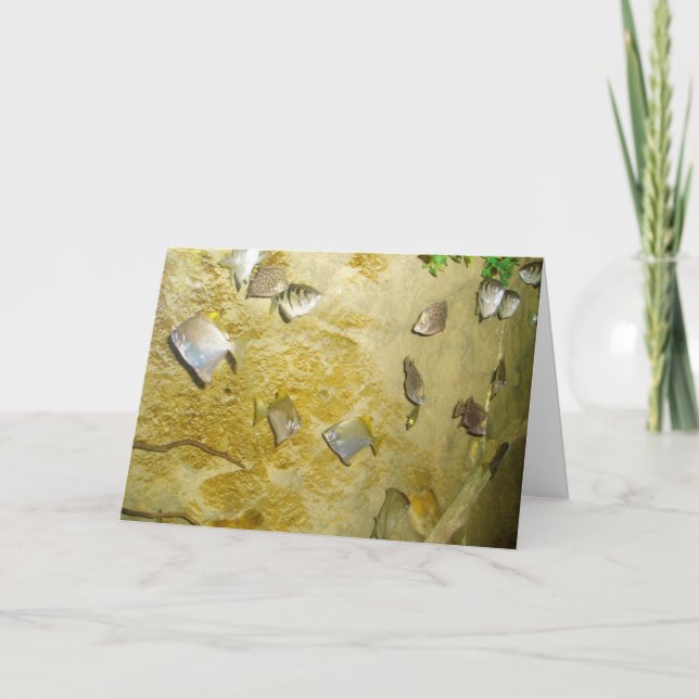 "Tropical Fish" Sjukt Välkommen-Kort Kort (Framsida)