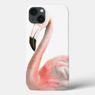 Tropical Flamingo Bird