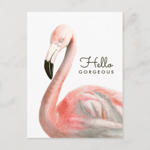 Tropical Flamingo Bird Vykort