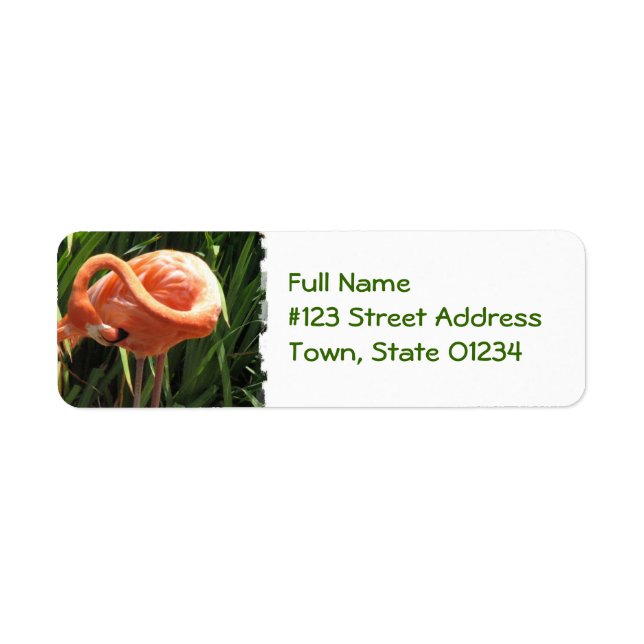 Tropical Flamingo Return Address Label Returadress Etikett (Framsidan)