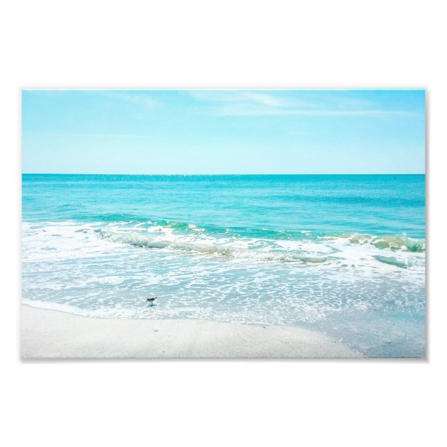 Tropical Florida Beach Sand Ocean Vågar Sandpiper Fototryck (Framsidan)