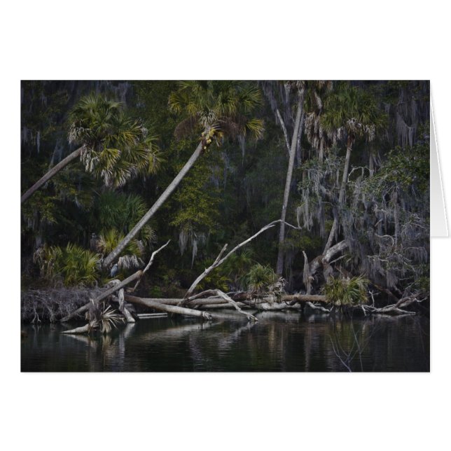 Tropical Florida OBS Kort (Framsidan Horizontal)