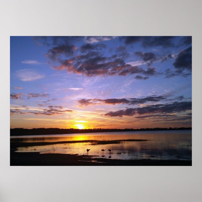 Tropical Florida Sunset liggande Poster fotokonst (Framsidan)