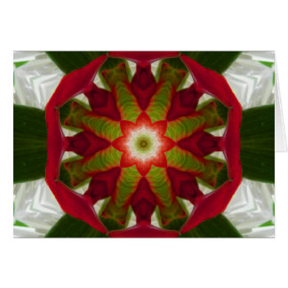 Tropical Flower Mandala Hälsningskort