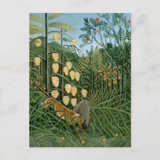 Tropical Forest, Henri Rousseau Vykort