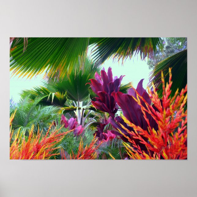 Tropical Garden in Paradise Print Poster (Framsidan)