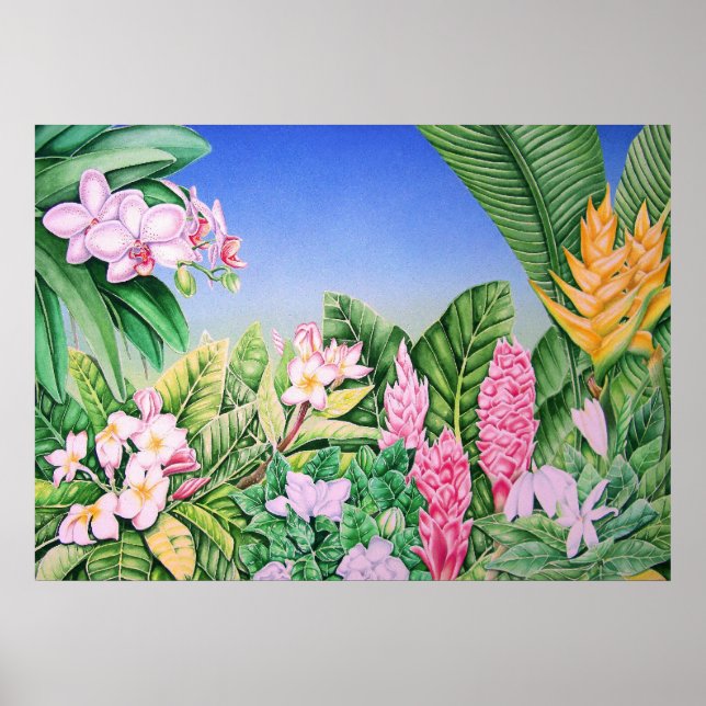 Tropical Garden Poster (Framsidan)