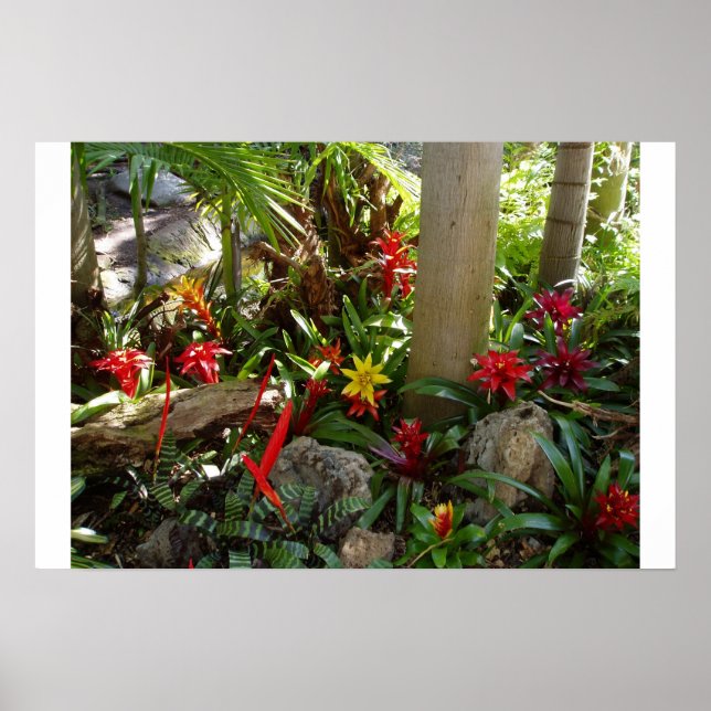 Tropical Garden Poster (Framsidan)