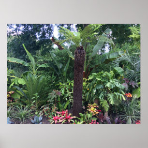 Tropical Garden Poster
