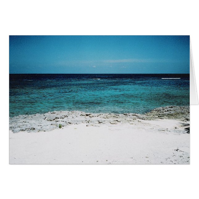 Tropical Gaze Hälsningskort (Framsidan Horizontal)