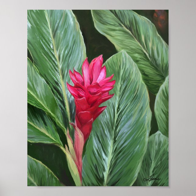 Tropical Ginger Flower Poster (Framsidan)