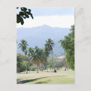 Tropical Golf Course Postcards Vykort