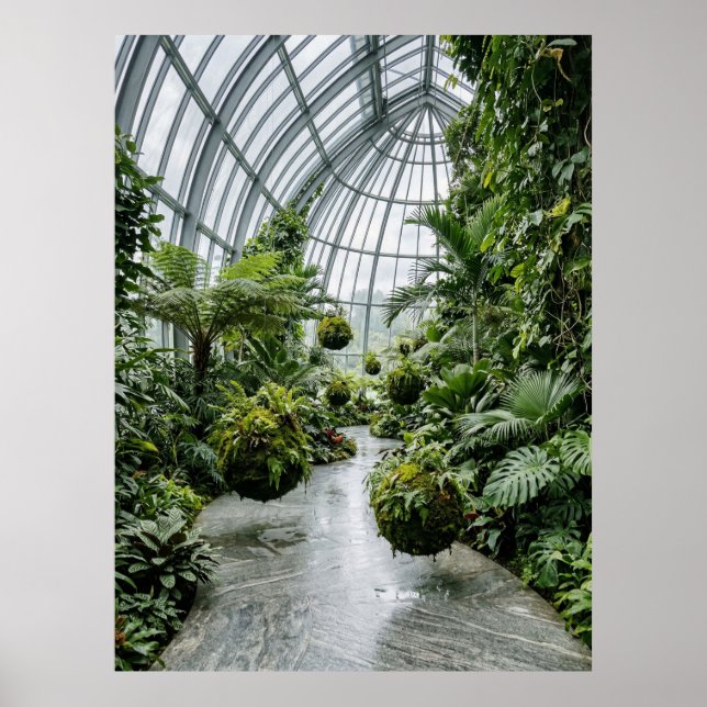 Tropical Greenhouse Jungle Path Poster (Framsidan)