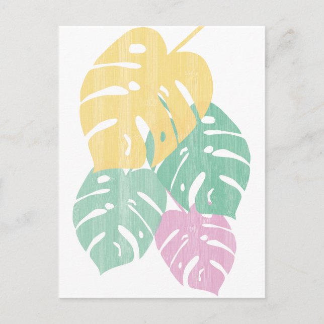 Tropical Grey - Monstera Lövs Vykort (Framsida)