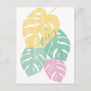 Tropical Grey - Monstera Lövs Vykort