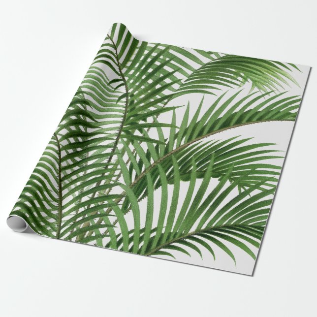 Tropical Grey Watercolor Handflatan Träd Löv Presentpapper (Utrullad)