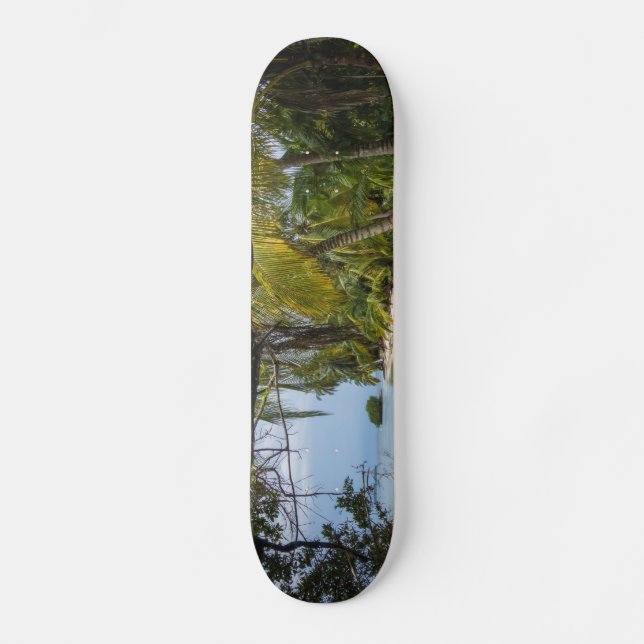 Tropical Grove Mini Skateboard Bräda 18,5 Cm (Framsida)