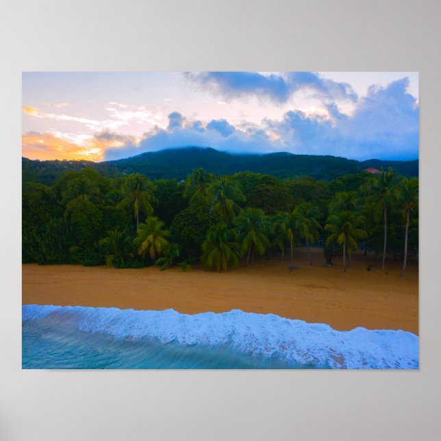 Tropical Guadeloupe Ocean Island Handflatan Beach  Poster (Framsidan)