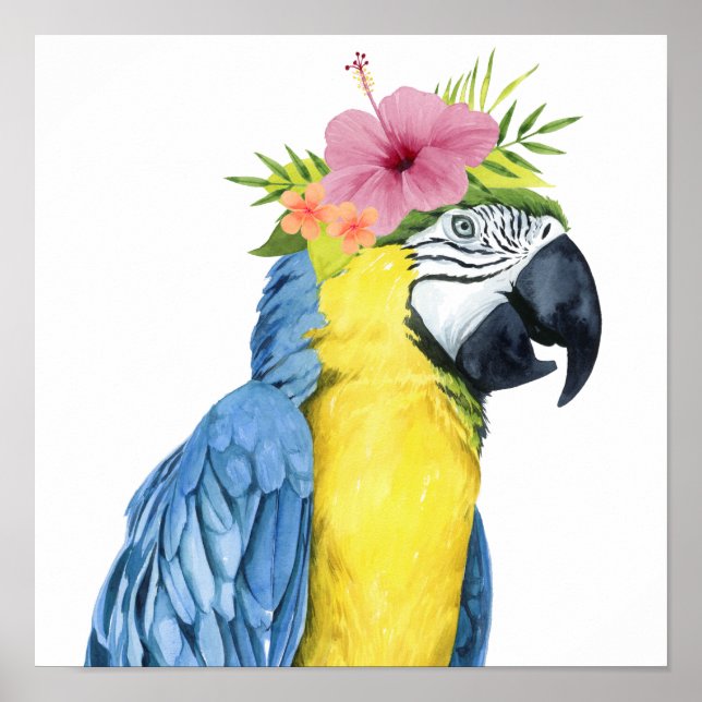Tropical Halo - Parrot Poster (Framsidan)