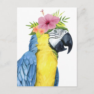 Tropical Halo - Parrot Vykort