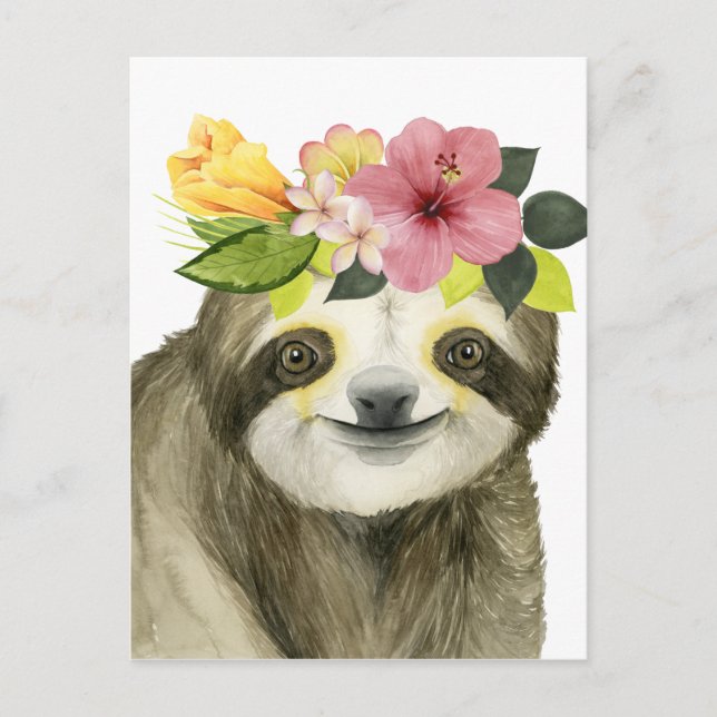 Tropical Halo | Sweet Sloth Vykort (Framsida)