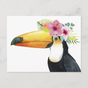 Tropical Halo - Toucan Vykort