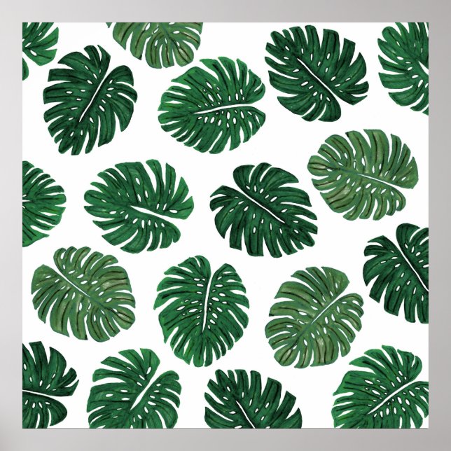 Tropical Hand Painting Swiss Cheese Plant Löv Poster (Framsidan)