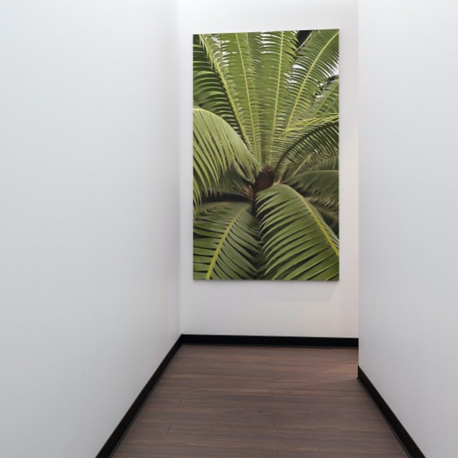 Tropical Handflatan botanical Art Dioon Spinulosum Poster (Skapare uppladdad)