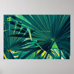 Tropical handflatan löv poster