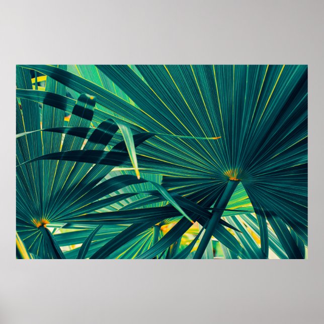 Tropical handflatan löv poster (Framsidan)