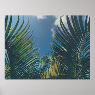 TROPICAL HANDFLATAN LÖV POSTER