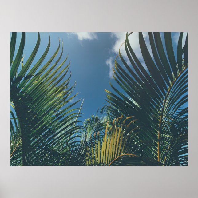 TROPICAL HANDFLATAN LÖV POSTER (Framsidan)
