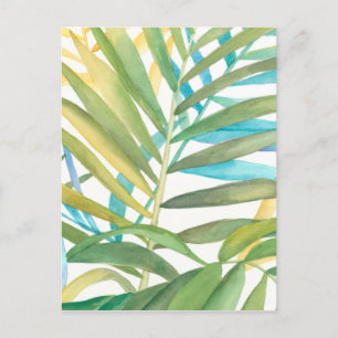 Tropical Handflatan Löv Vykort