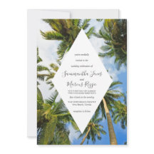 Tropical Handflatan Träd Florida Beach Wedding