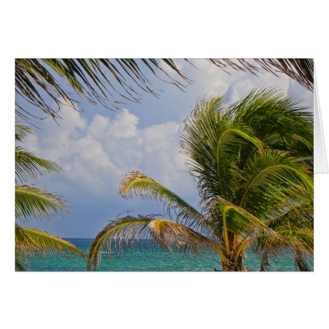 Tropical Handflatan Träd Hälsningskort (Framsidan Horizontal)