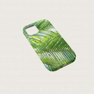 Tropical Handflatan Träd Löv