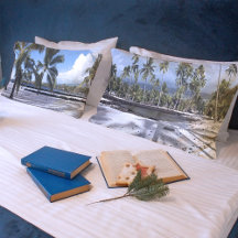 Tropical Hawaii Beach Panorama Scenia Photo Handfl
