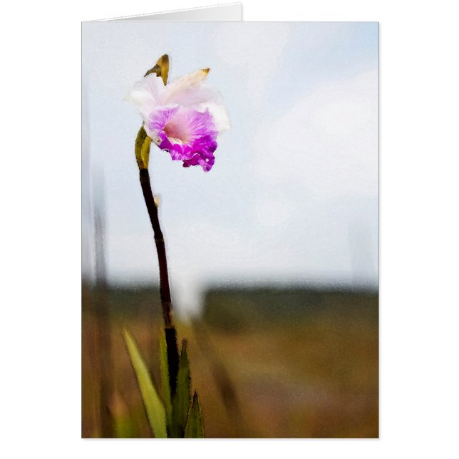 Tropical Hawaii Volcano Vild Orchid Hälsningskort (Framsidan)