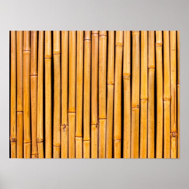 Tropical Hawaiian Bamboo Background Template Poster (Framsidan)