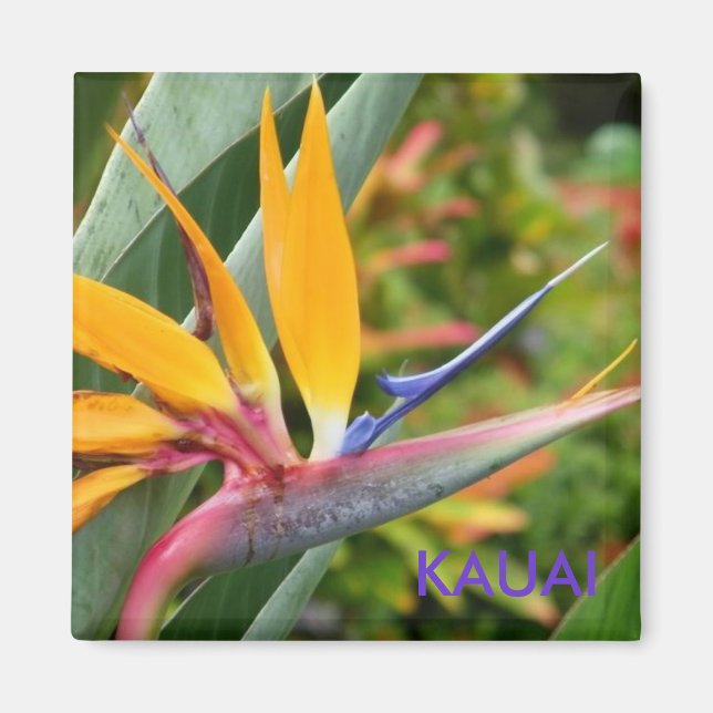 Tropical Hawaiian Flowers Bird-of-Paradise Kauai Magnet (Framsidan)