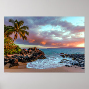 Tropical Hawaiian Handflatan Träd Sandy Beach Para Poster