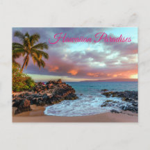 Tropical Hawaiian Handflatan Träd Sandy Beach Para