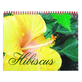 Tropical Hibiscus Flowers Calendar Kalender