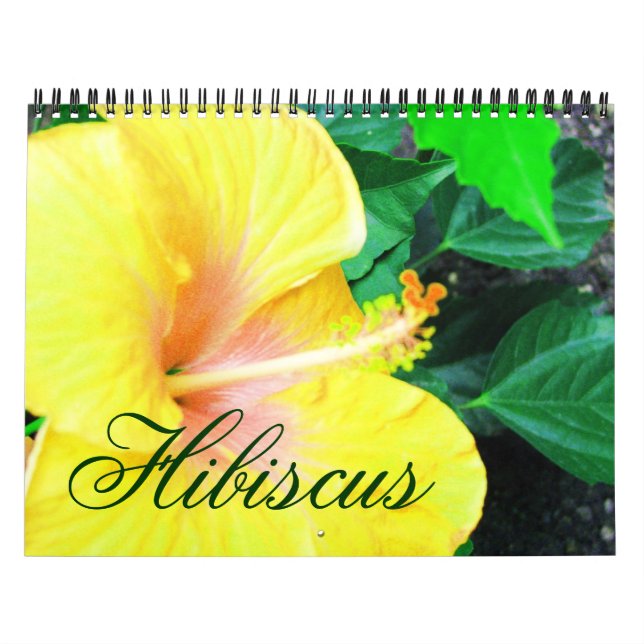 Tropical Hibiscus Flowers Calendar Kalender (Omslag)