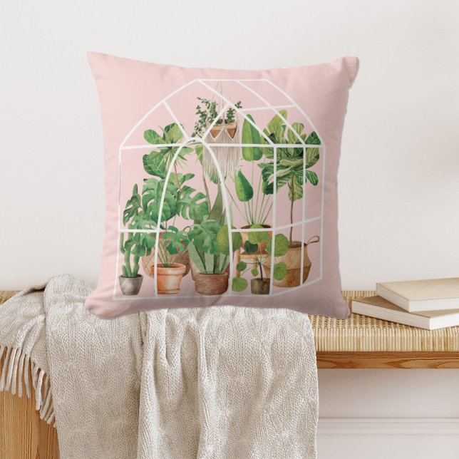 Tropical House Plant Rosa Kudde (In situ on bench)