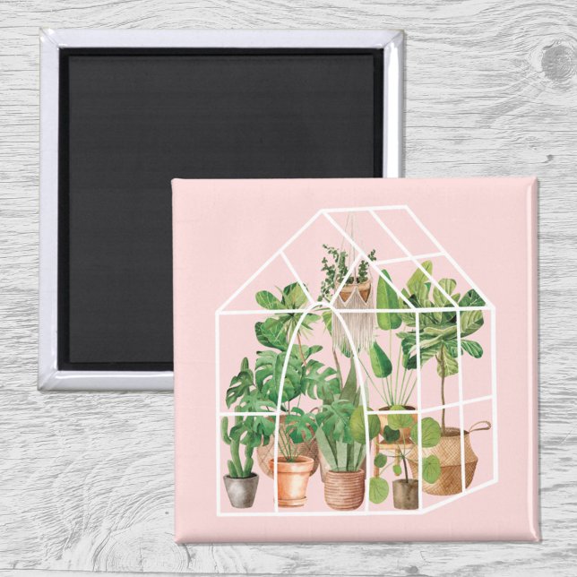 Tropical House Plant Rosa Magnet (Close up on wood)