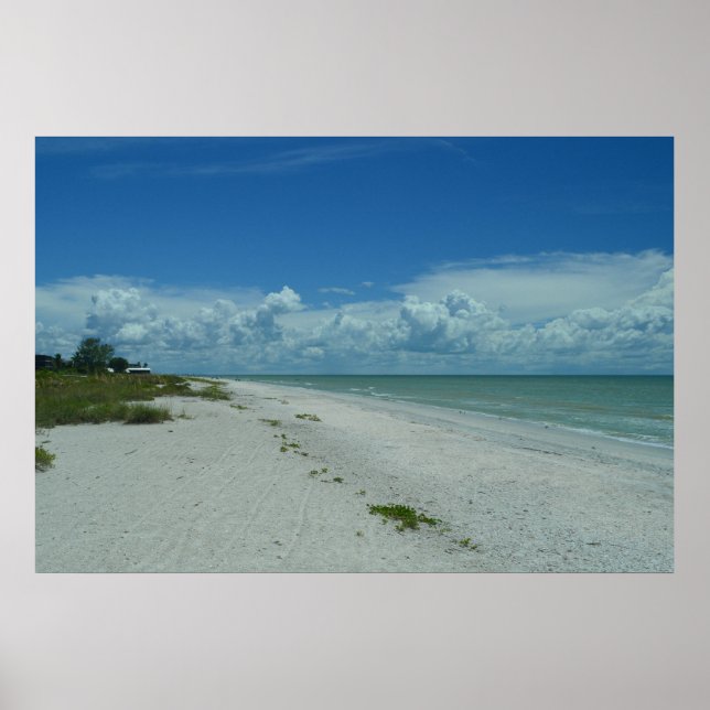 Tropical Island Beach Photo Sanibel Florida Poster (Framsidan)