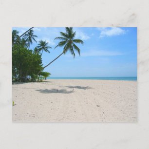 Tropical Island Beach, Seychellerna) Vykort