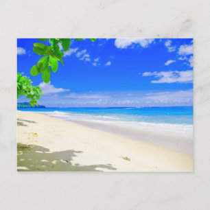Tropical Island Retreat on White Sandy Beach Vykort